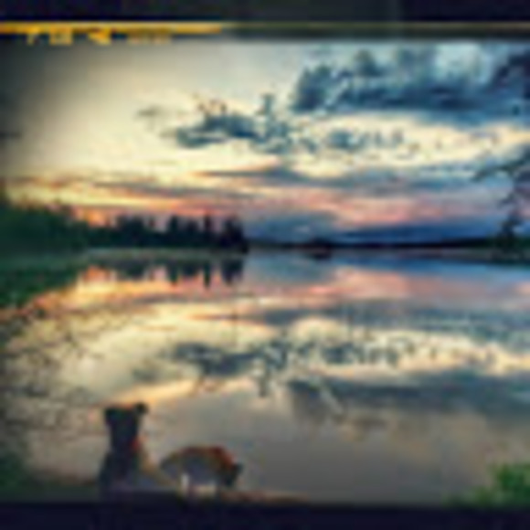 Meet your Posher, Bobbie - Picture 1 of 1